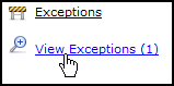 View risk exceptions