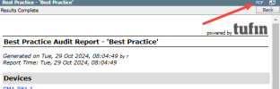 security audit pdf